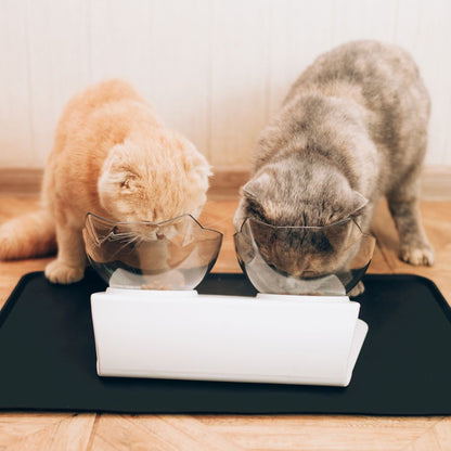 Orthopedic Anti-Vomiting Cat Bowl™