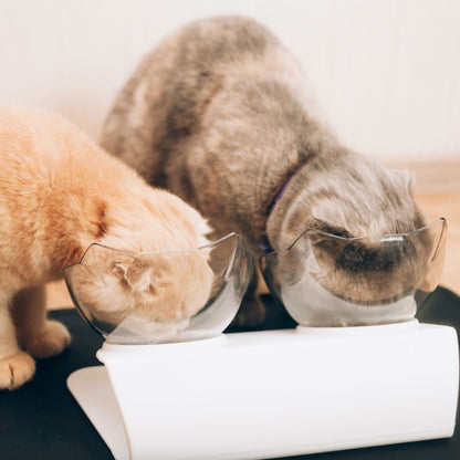 Orthopedic Anti-Vomiting Cat Bowl™